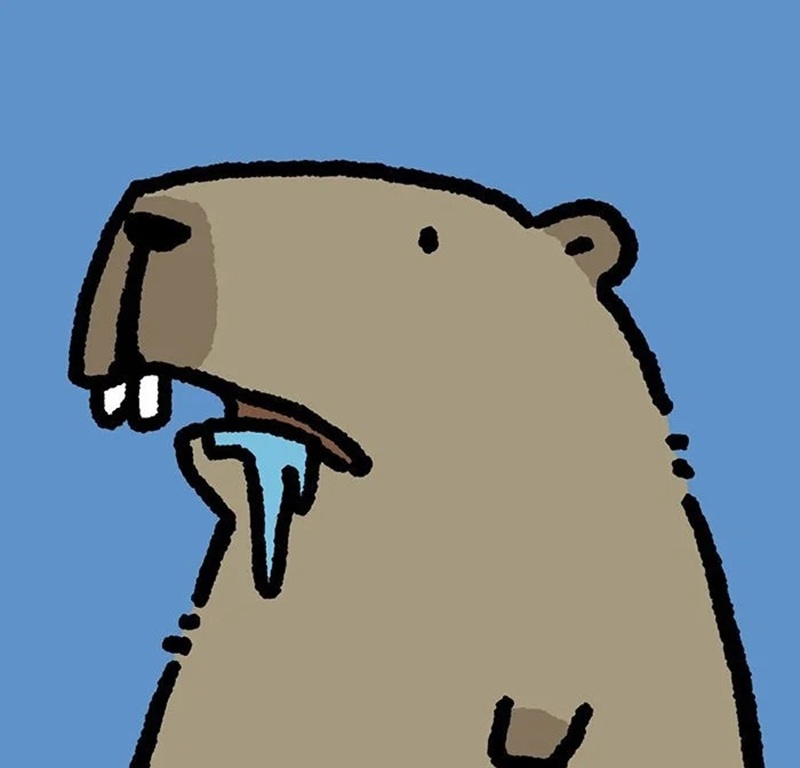 capybara meme 13