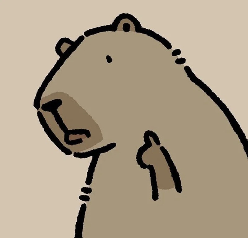 capybara meme 14