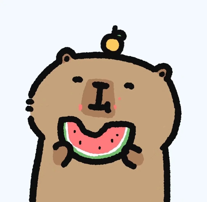 capybara meme 26