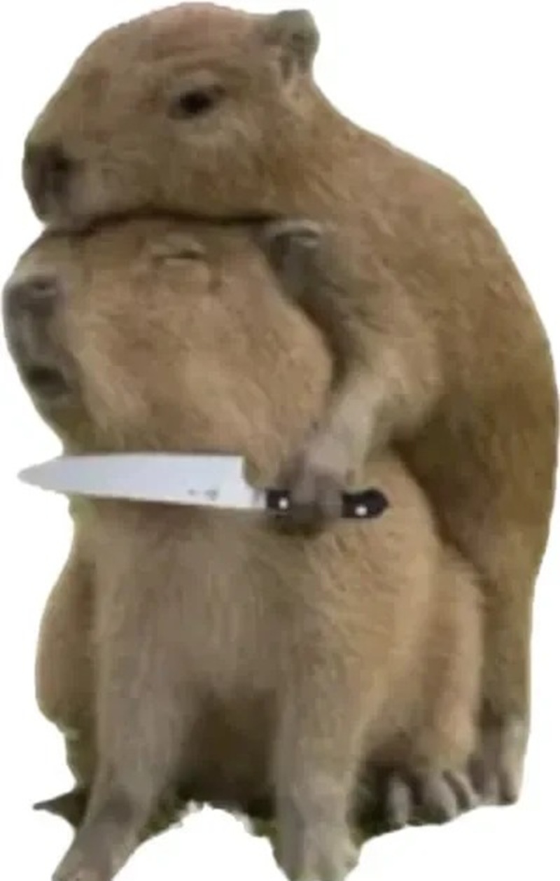 capybara meme 29