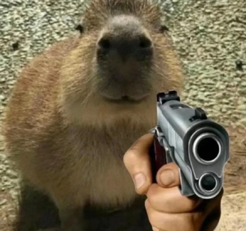 Capybara meme nổi bật trên mạng xã hội