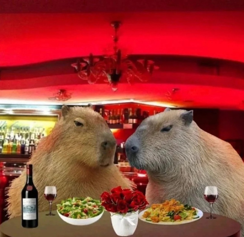 capybara meme 32