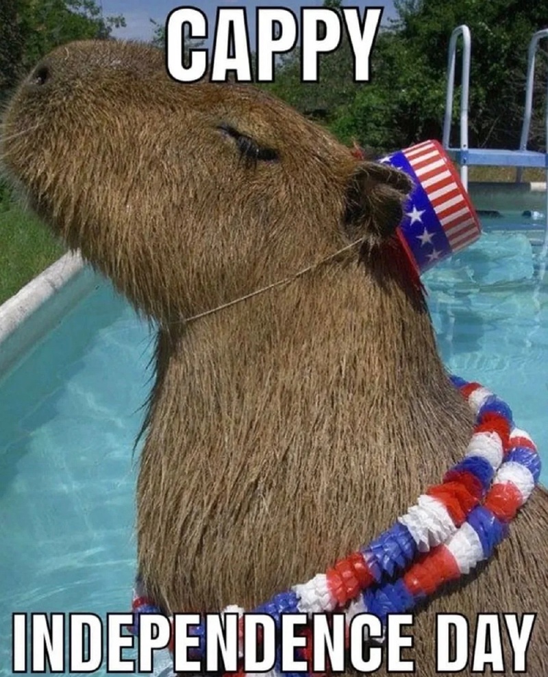 capybara meme 33