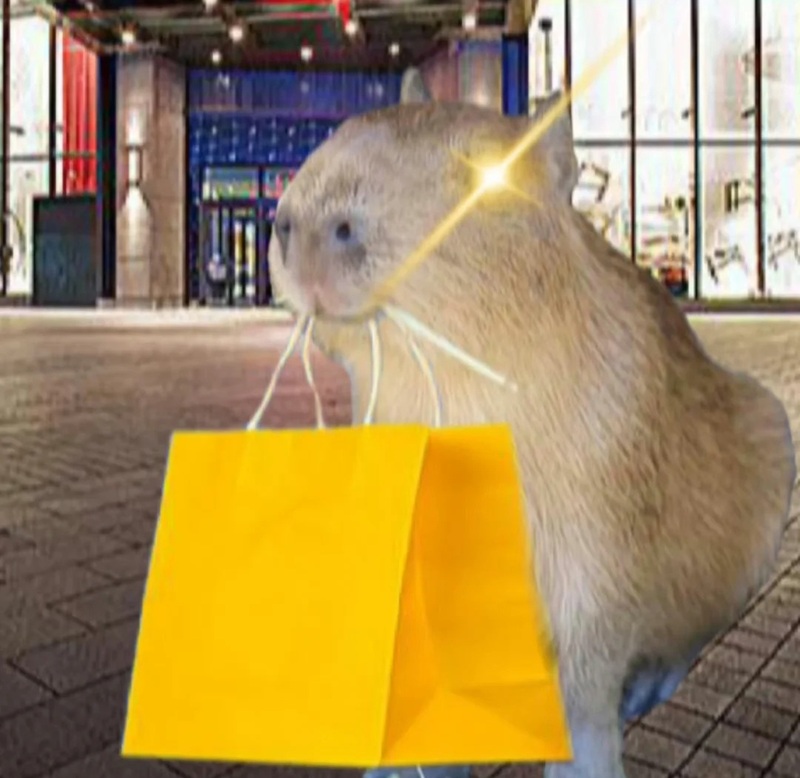 capybara meme 34