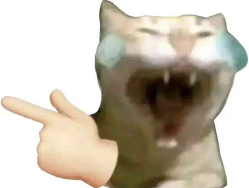 haha meme 31