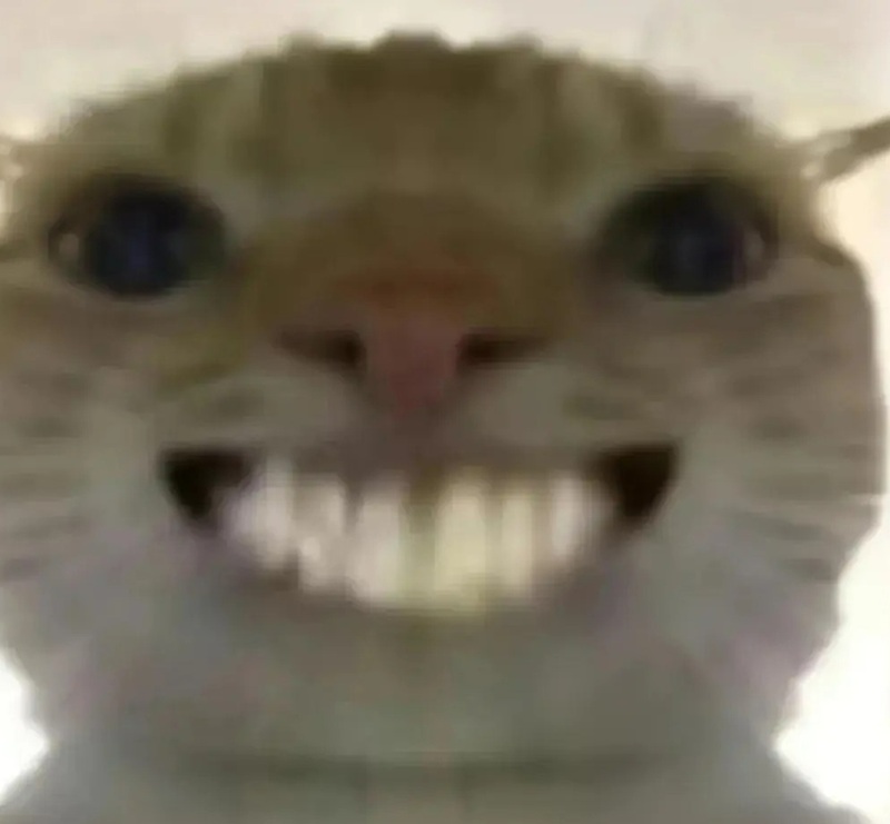 haha meme 35