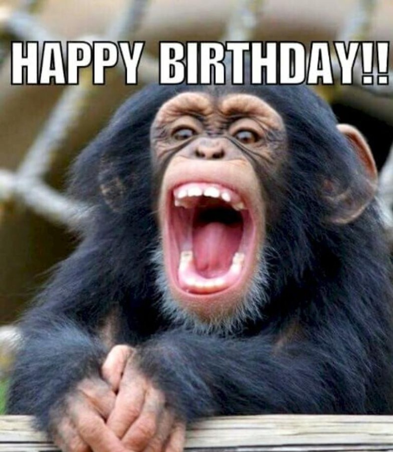 happy birthday meme 11