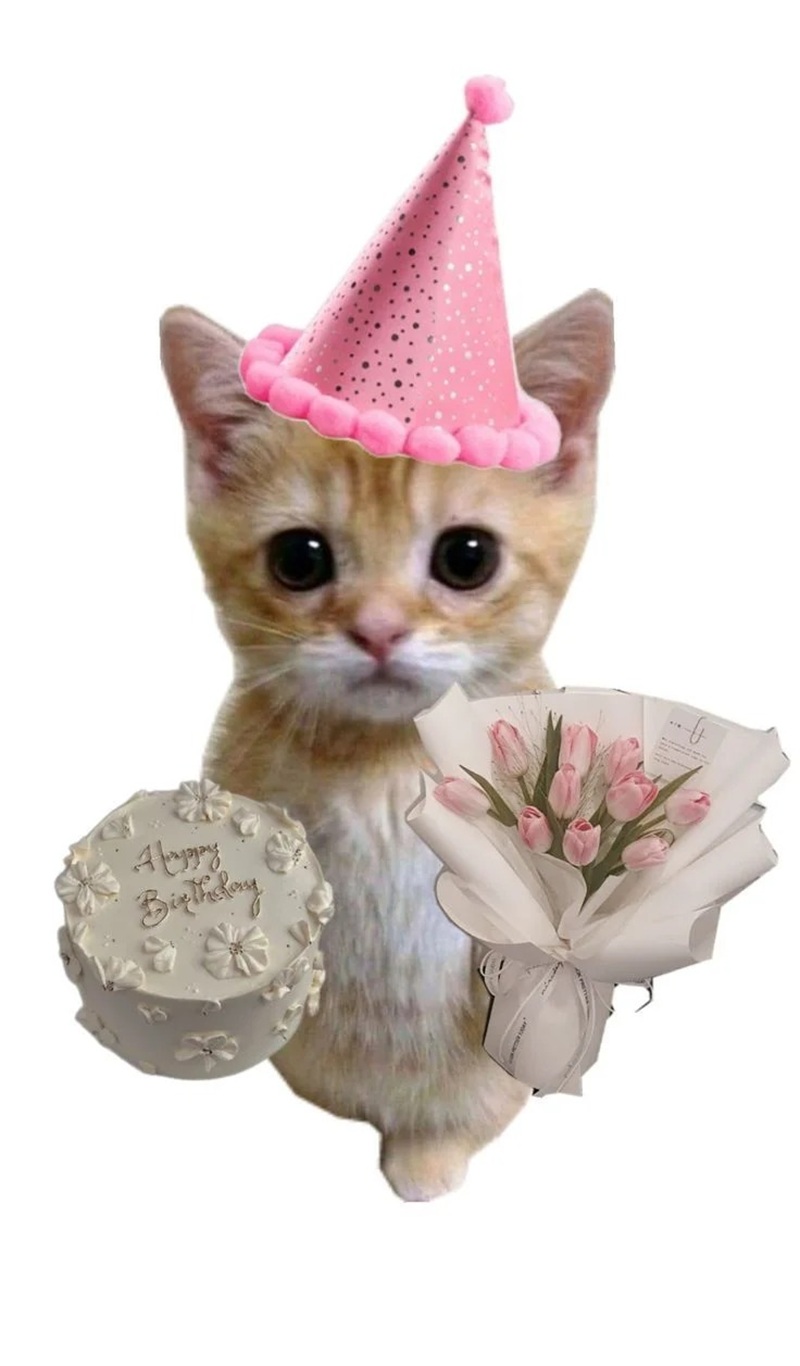 happy birthday meme 23