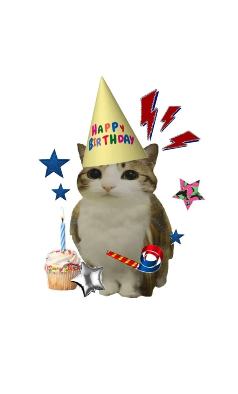 happy birthday meme 24