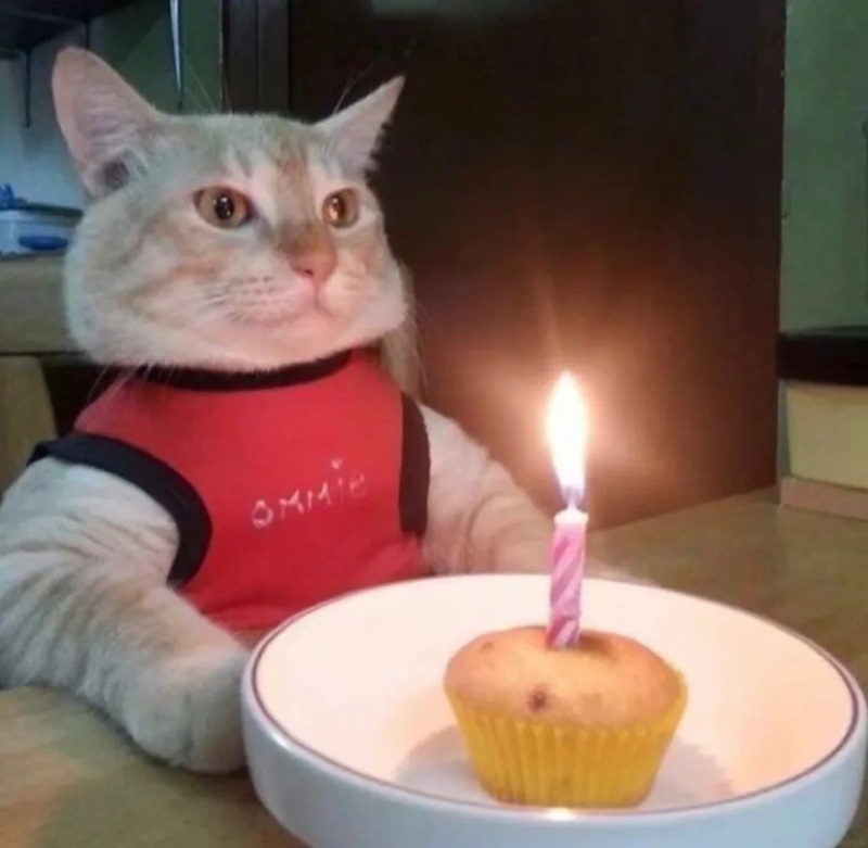 happy birthday meme 35