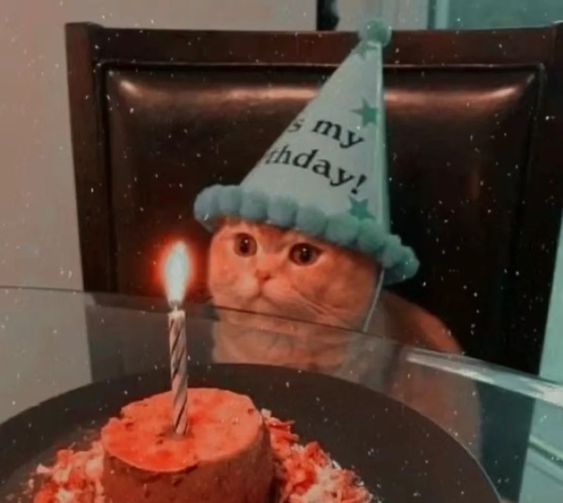 happy birthday meme 36