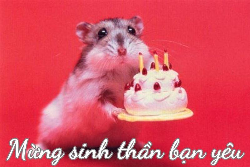 happy birthday meme 7