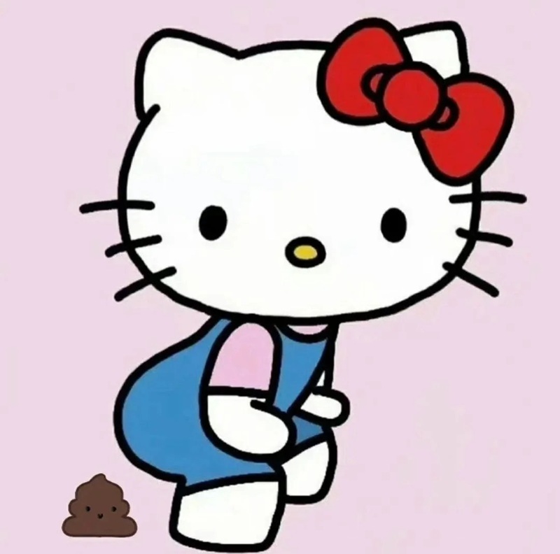 hello kitty meme 18