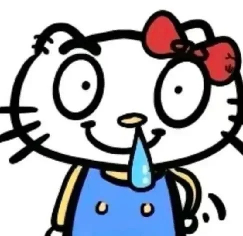 hello kitty meme 8