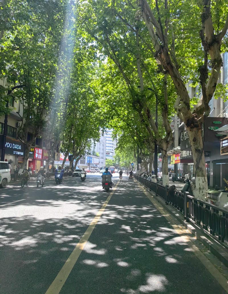 hình ảnh chill đường phố 16