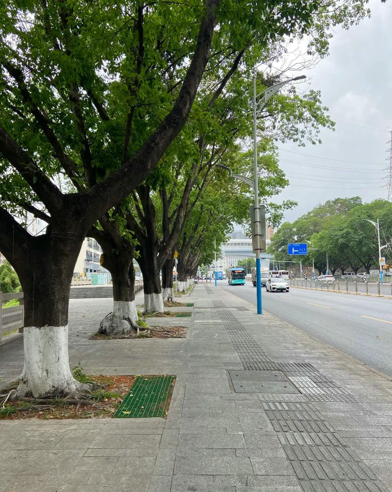 hình ảnh chill đường phố 25