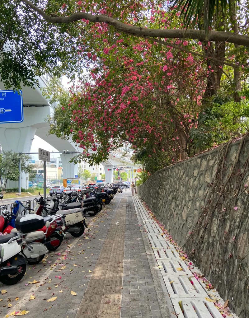 hình ảnh chill đường phố 26