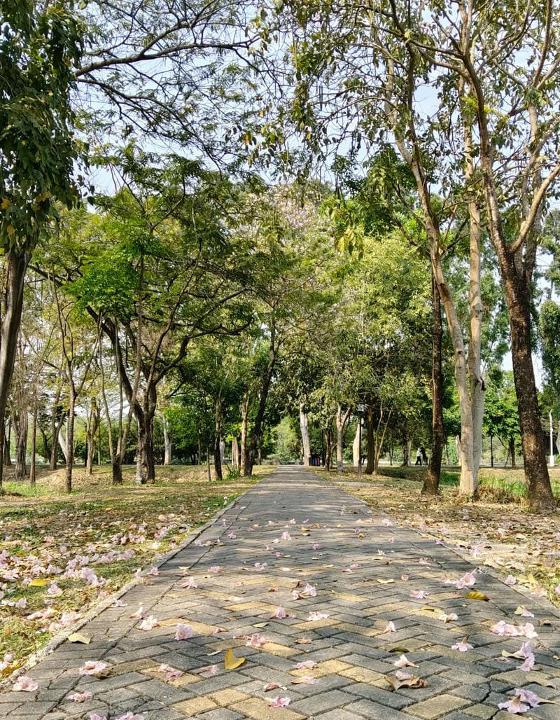 hình ảnh chill đường phố 27