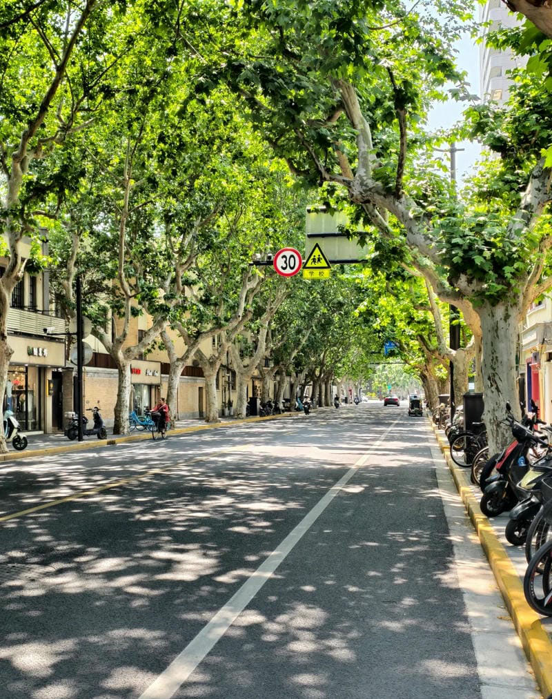 hình ảnh chill đường phố 30