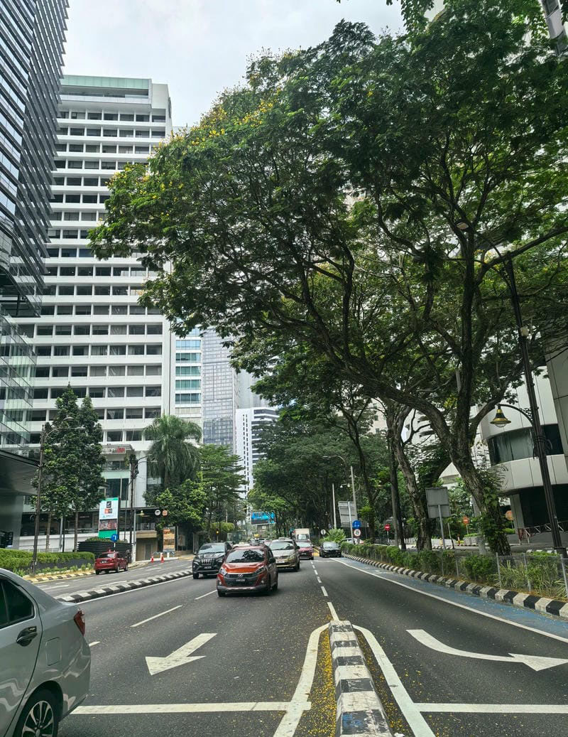 hình ảnh chill đường phố 32