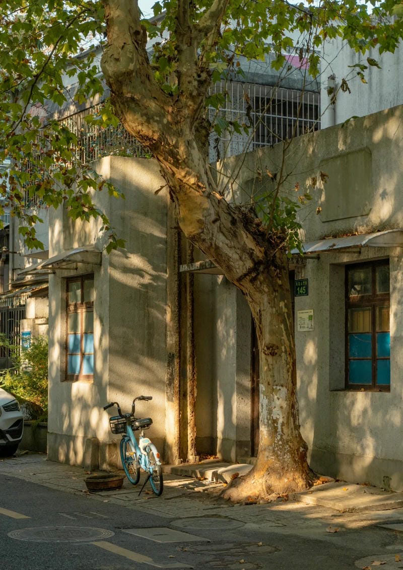 hình ảnh chill đường phố 34