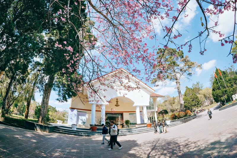 hình ảnh đà lạt 17