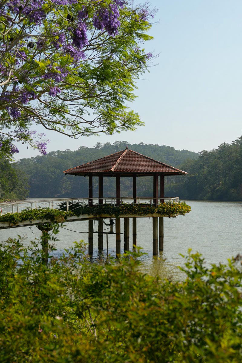 hình ảnh đà lạt 26