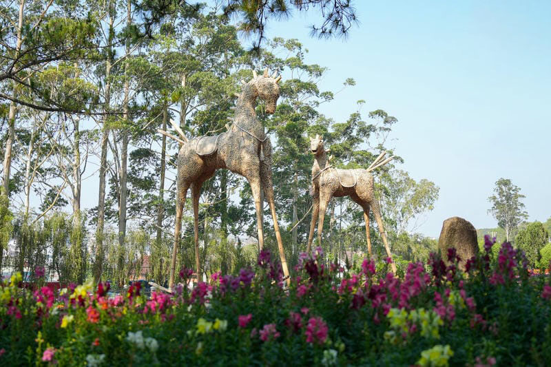 hình ảnh đà lạt 29