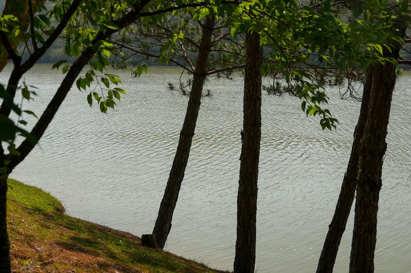 hình ảnh đà lạt 32