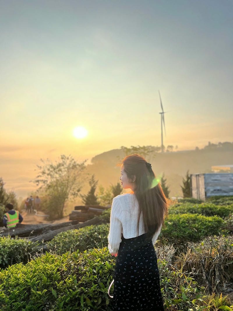 hình ảnh đà lạt 4