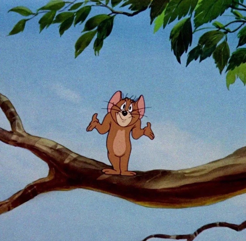 jerry meme 15