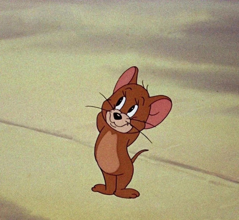 jerry meme 16