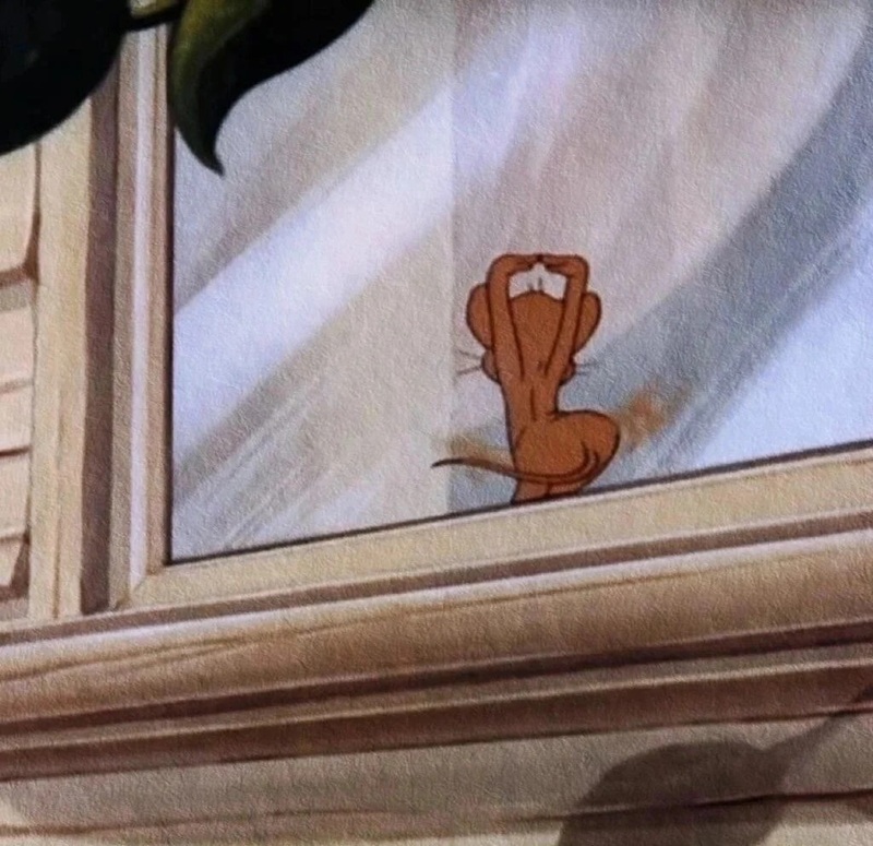 jerry meme 19
