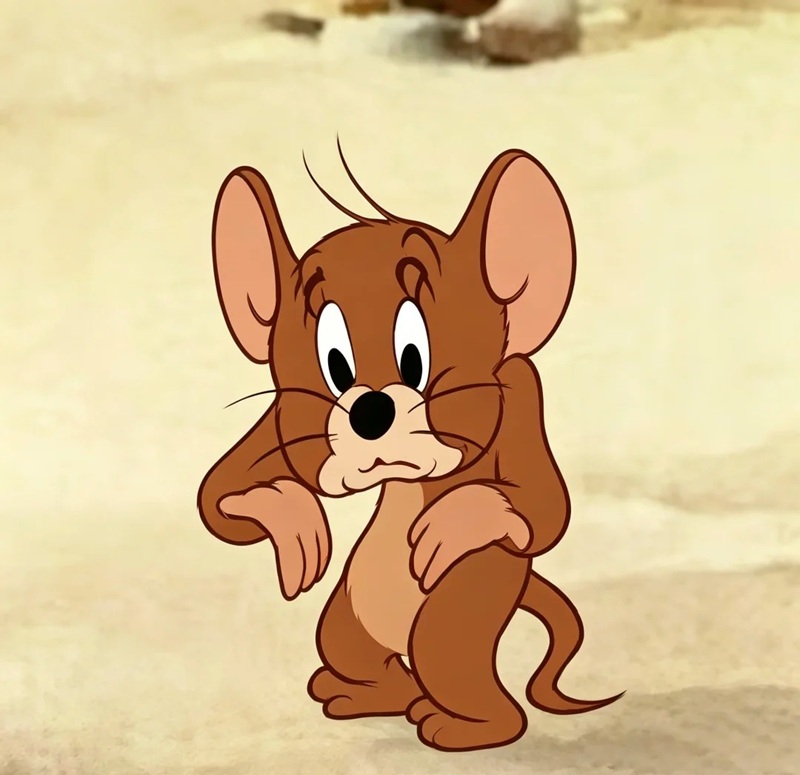 jerry meme 28