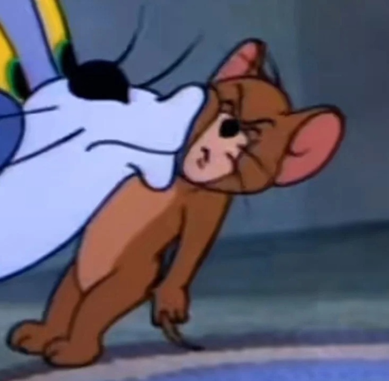 jerry meme 41
