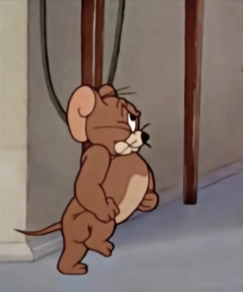 jerry meme 6