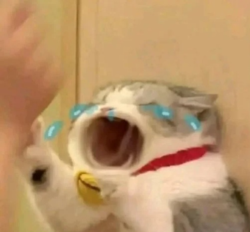 khóc meme 19