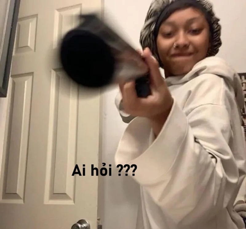 meme ai hỏi 1