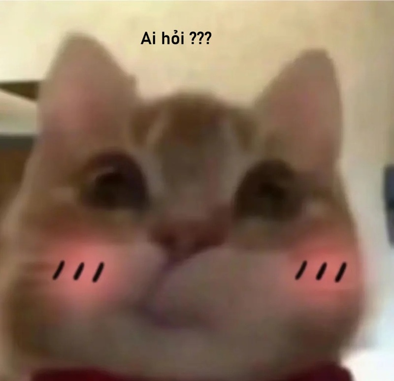 meme ai hỏi 10