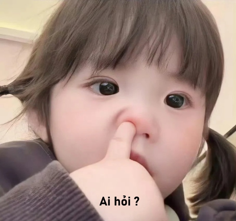 meme ai hỏi 11