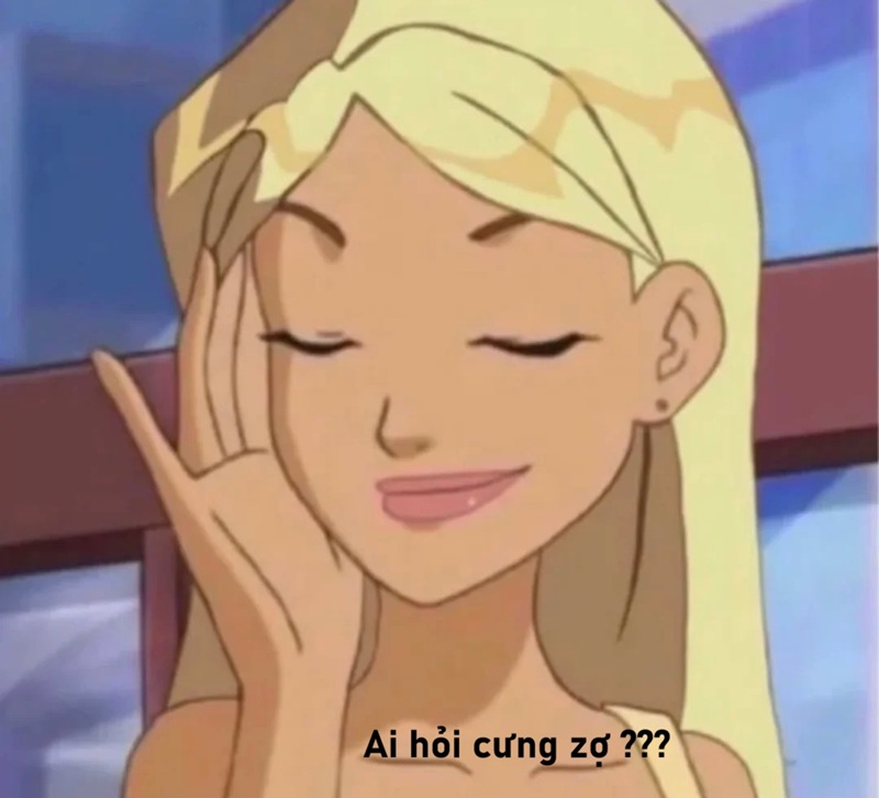 meme ai hỏi 13