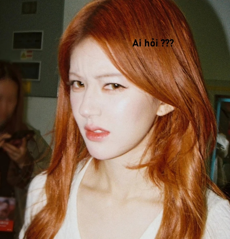 meme ai hỏi 15