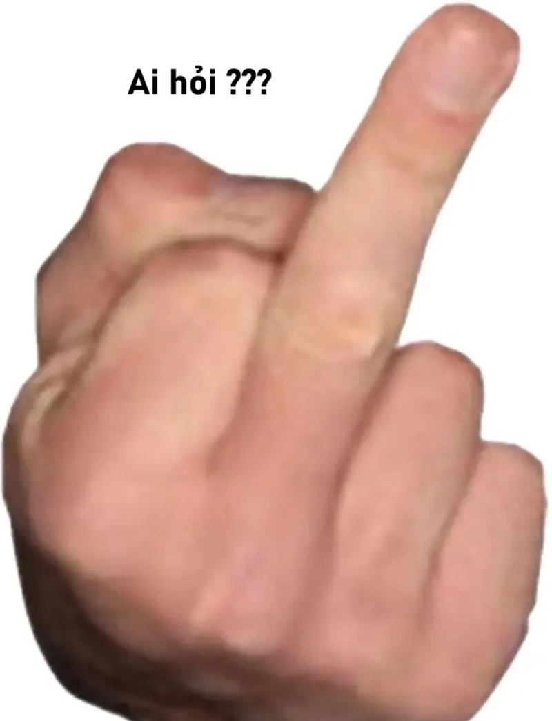 meme ai hỏi 17