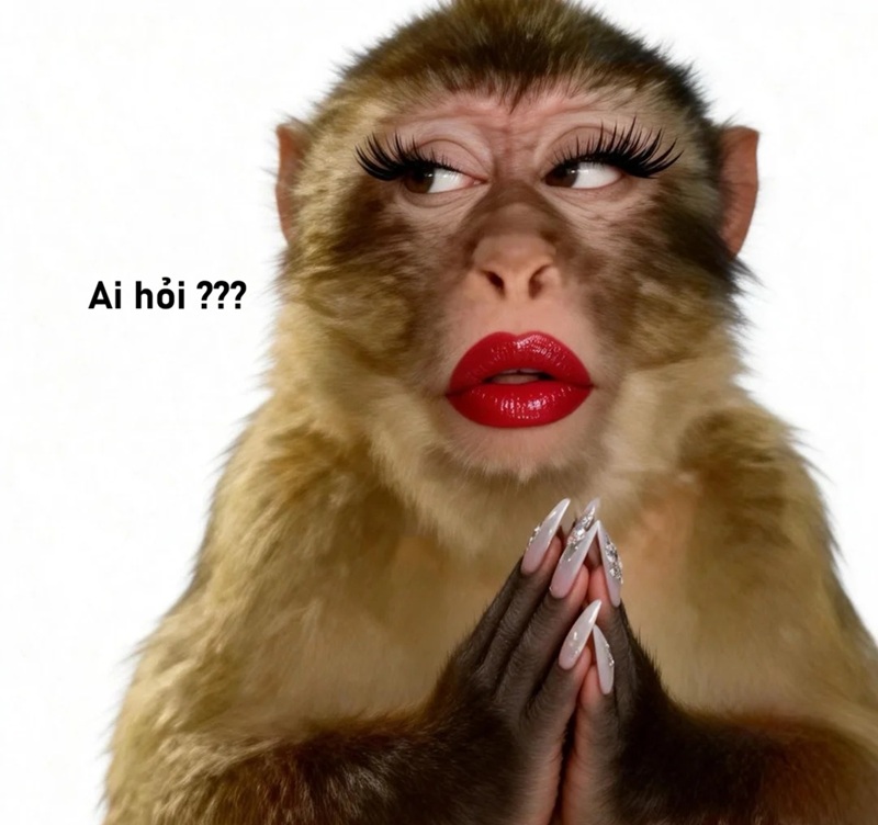 meme ai hỏi 18