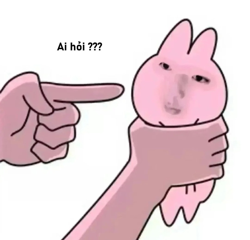 meme ai hỏi 19