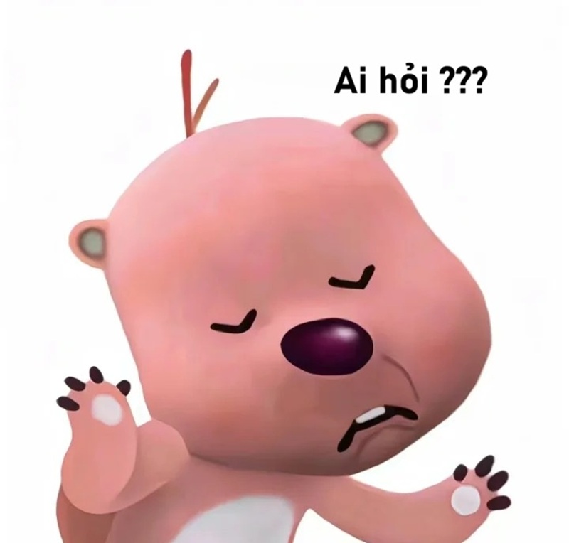 meme ai hỏi 20