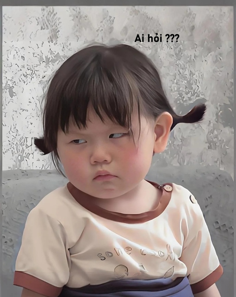 meme ai hỏi 21