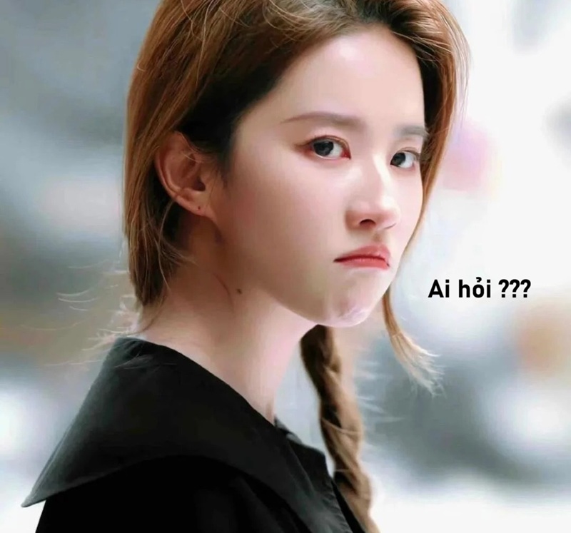 meme ai hỏi 23