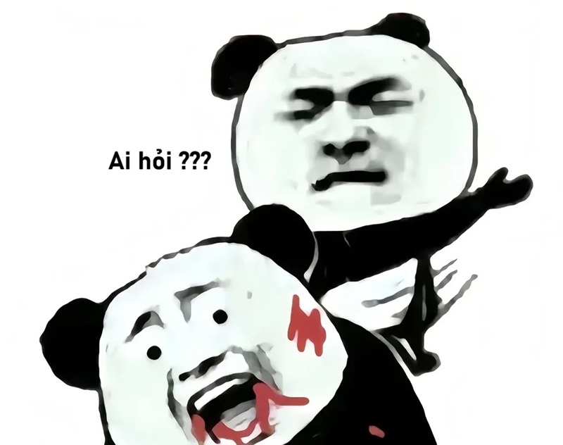 meme ai hỏi 24