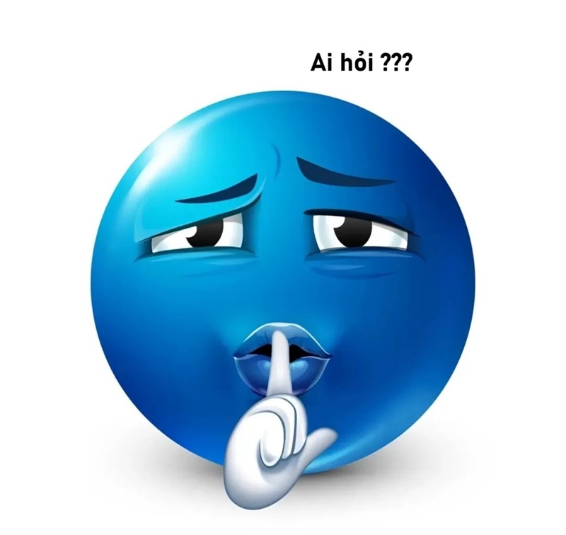 meme ai hỏi 27